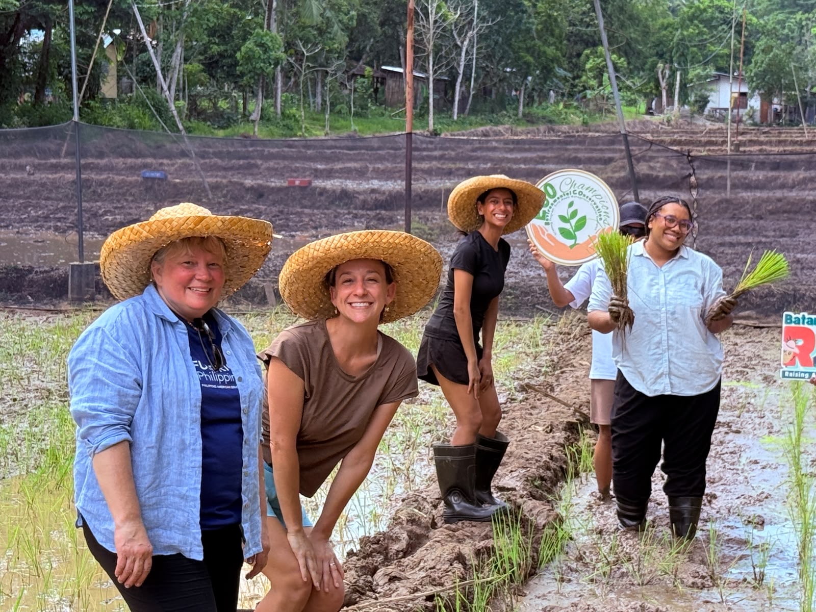 Fulbright teachers in sun hats kneeling in a muddy rice paddy with seedlings.